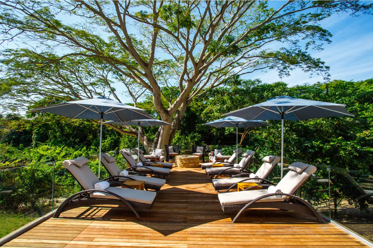 Rooms and swim-up suites facing the jungle